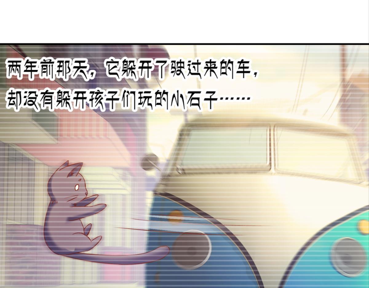 第37话：猫雀之争-第37话