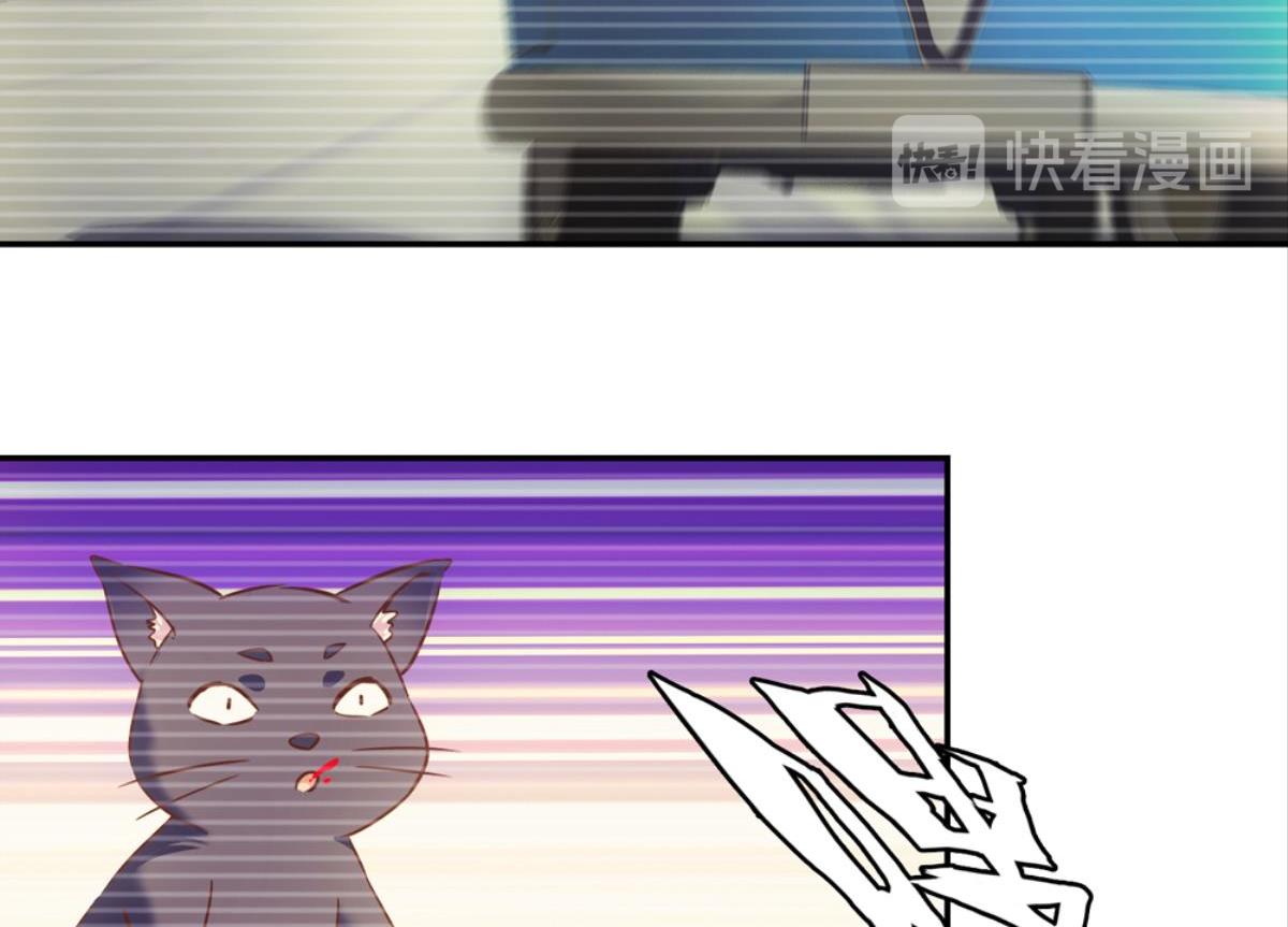 第37话：猫雀之争-第37话