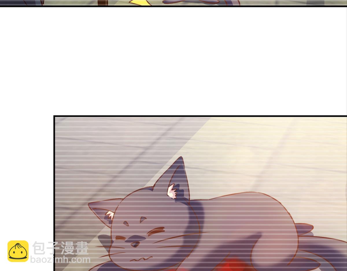 第37话：猫雀之争-第37话