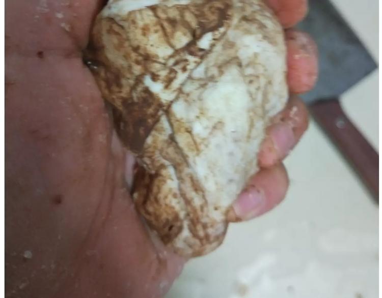 小绵羊面包(1/2)-第113话