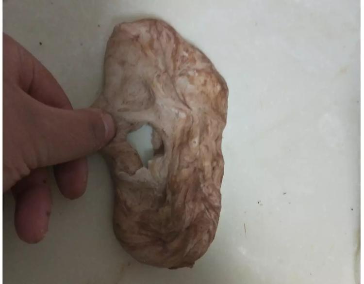 小绵羊面包(1/2)-第113话