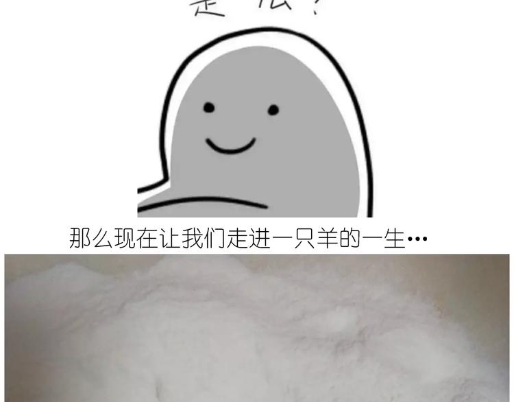 小绵羊面包(1/2)-第113话