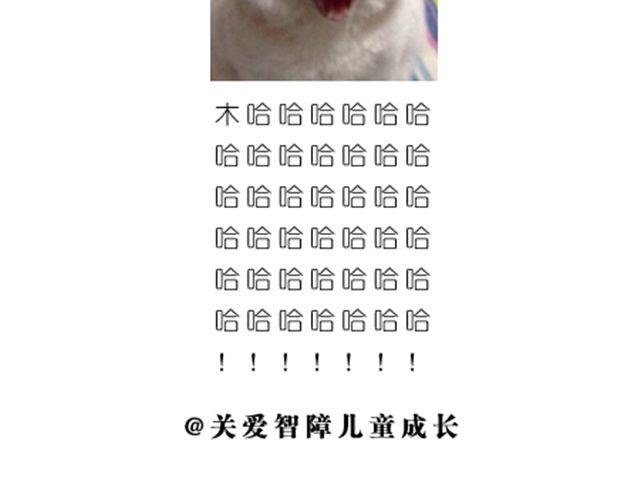 鸡蛋情侣创意菜-第13话