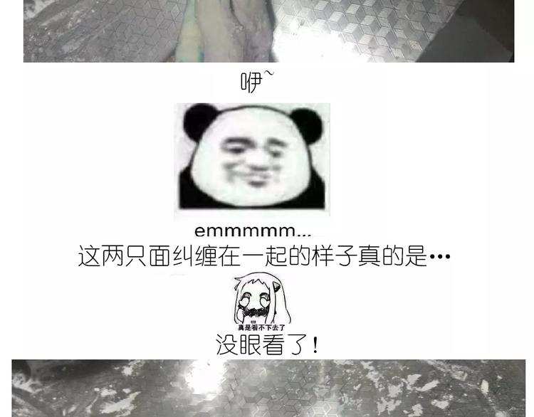 仙女的星空-第123话