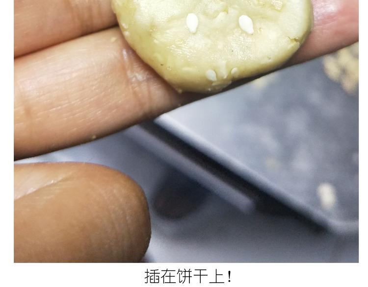 毁灭宇宙 - 仙女全麦兔仓鼠饼 - 1