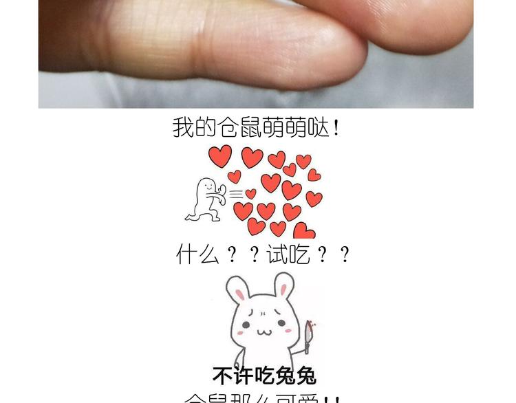 仙女全麦兔仓鼠饼-第129话