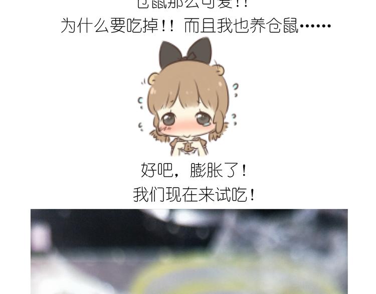 仙女全麦兔仓鼠饼-第129话
