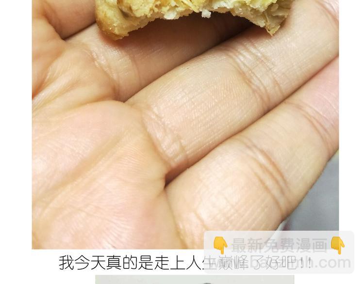 毁灭宇宙 - 仙女全麦兔仓鼠饼 - 4