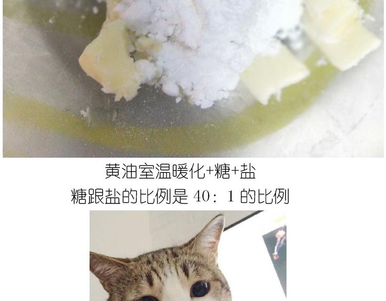 仙女全麦兔仓鼠饼-第129话