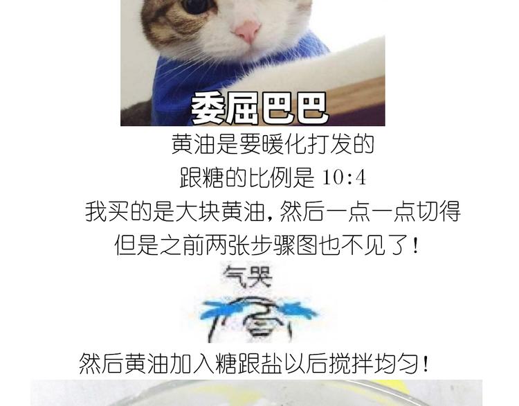 仙女全麦兔仓鼠饼-第129话