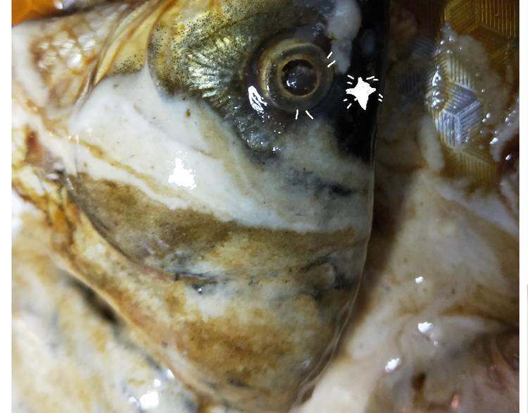 仙女糖醋鱼-第147话