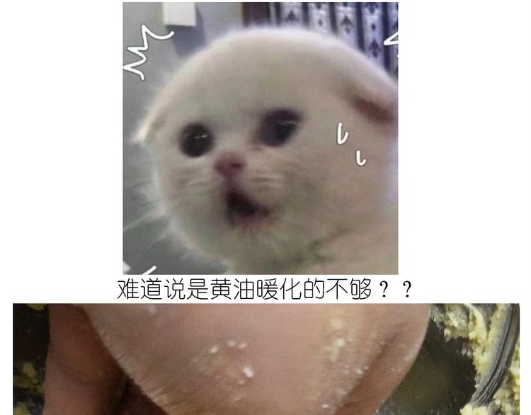 仙女的曲奇(1/2)-第161话