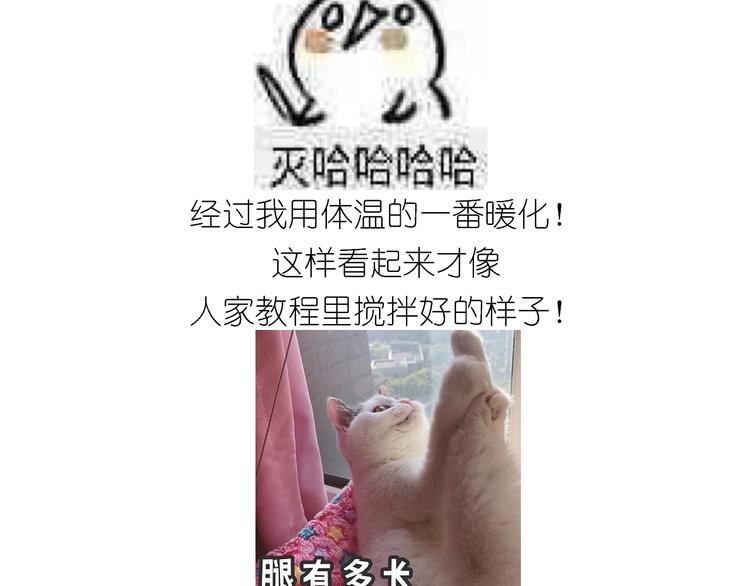 仙女的曲奇(1/2)-第161话