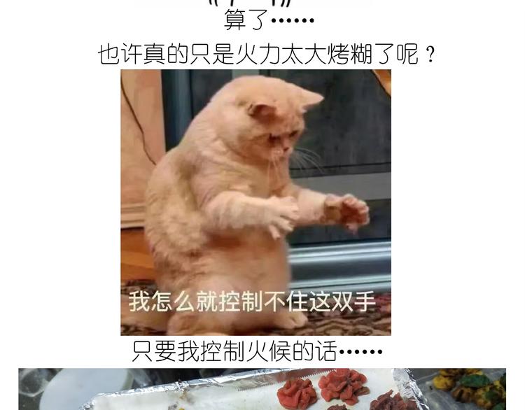 仙女的曲奇(1/2)-第161话