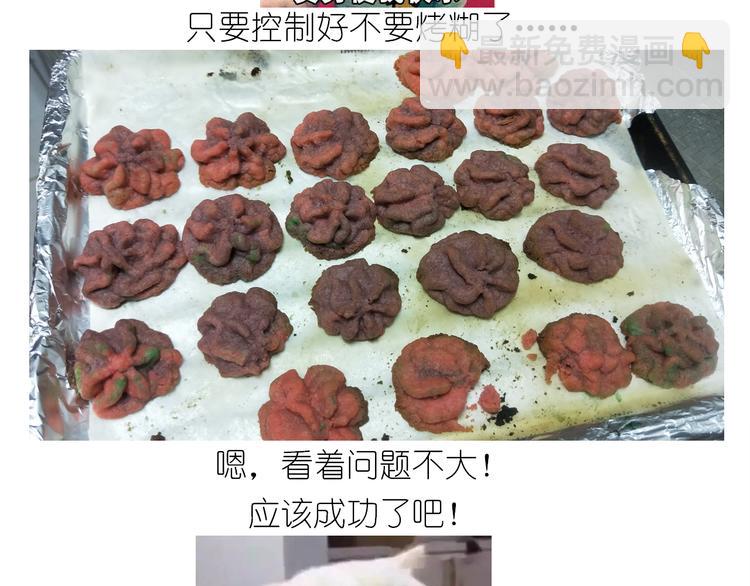 仙女的曲奇(1/2)-第161话