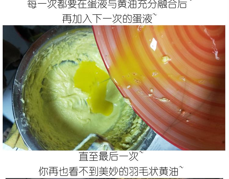 仙女的罗马盾饼干(1/2)-第163话