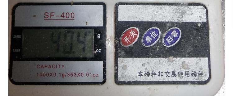 仙女的罗马盾饼干(1/2)-第163话