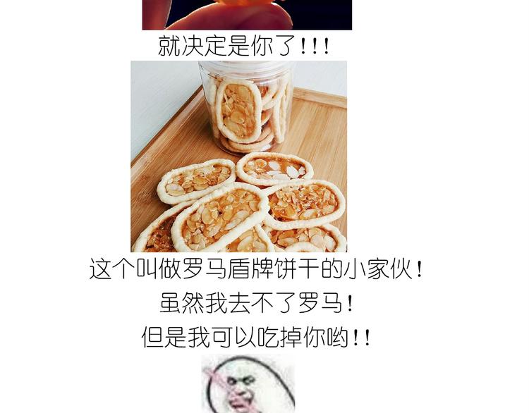 仙女的罗马盾饼干(1/2)-第163话