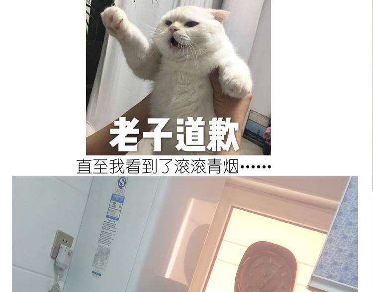 仙女的罗马盾饼干(1/2)-第163话