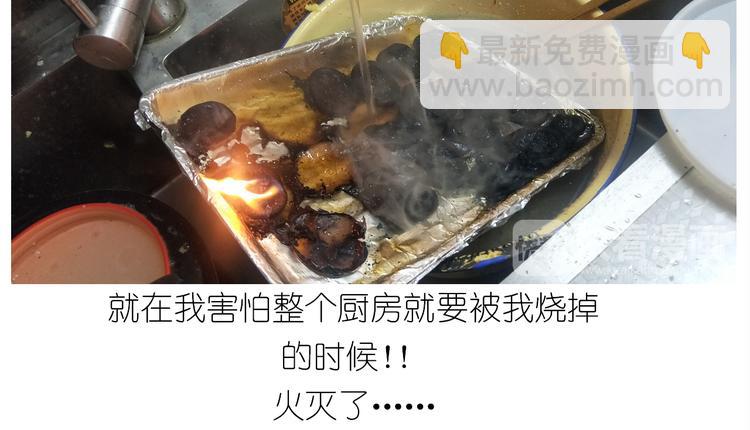 仙女的罗马盾饼干(1/2)-第163话