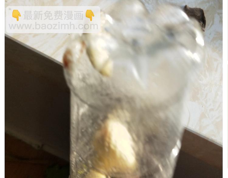 仙女的油泼面(1/2)-第165话