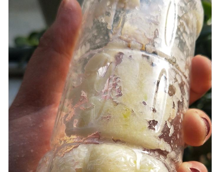 仙女的油泼面(1/2)-第165话