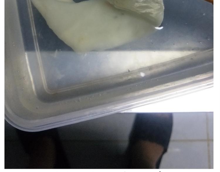 仙女的油泼面(1/2)-第165话