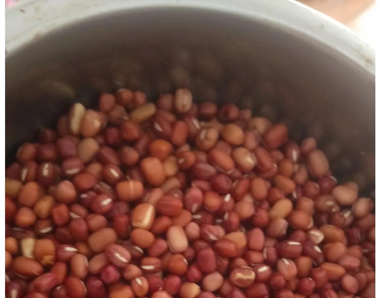 仙女的小桃花-第167话