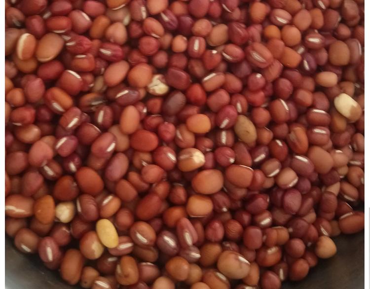 仙女的小桃花-第167话