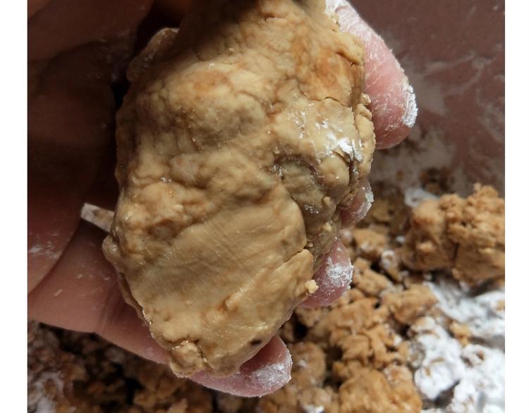 仙女的珍珠奶茶(1/2)-第169话