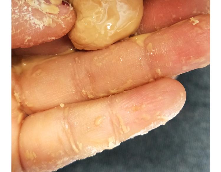 仙女的珍珠奶茶(1/2)-第169话