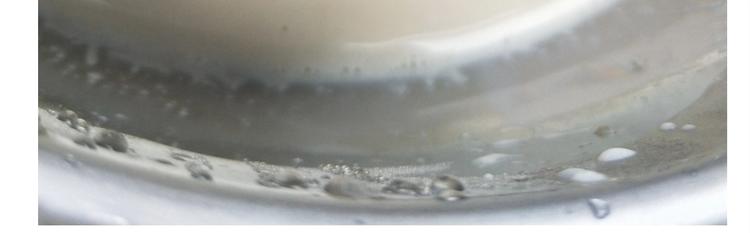 仙女的珍珠奶茶(1/2)-第169话