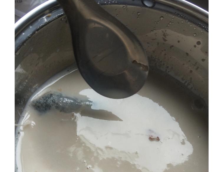 仙女的珍珠奶茶(1/2)-第169话