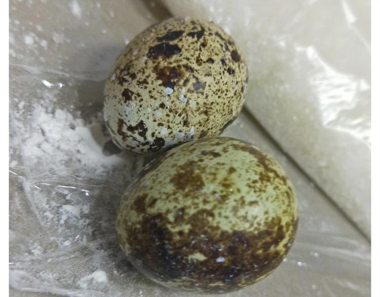 仙女的魔法饼干(1/2)-第171话