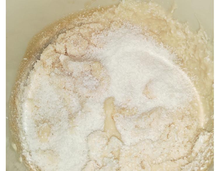 仙女的椰丝小方(1/2)-第177话