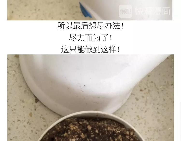 仙女的大南瓜(1/2)-第185话