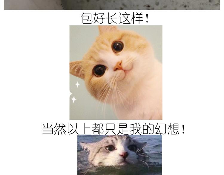 仙女水晶包(1/2)-第193话