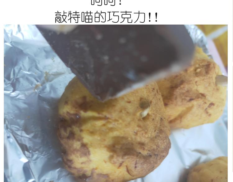 仙女的南瓜灯(1/2)-第195话