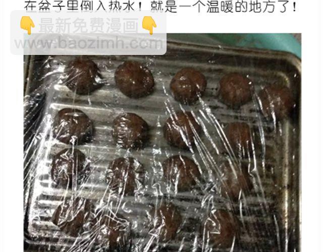 送给快看的3D小熊面包树-第25话