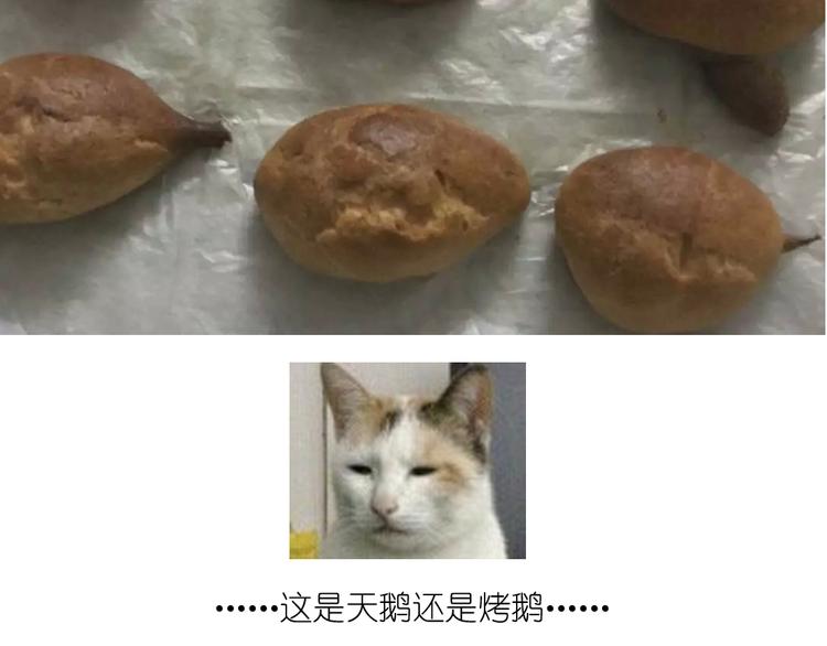 天鹅泡芙-第35话