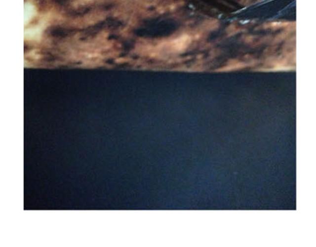 超美味榴莲芝士披萨-第5话