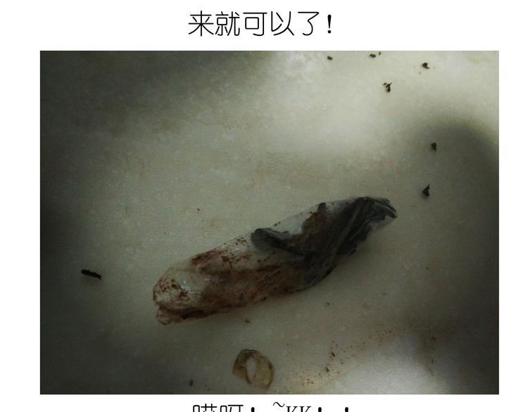 别样下午茶-第51话