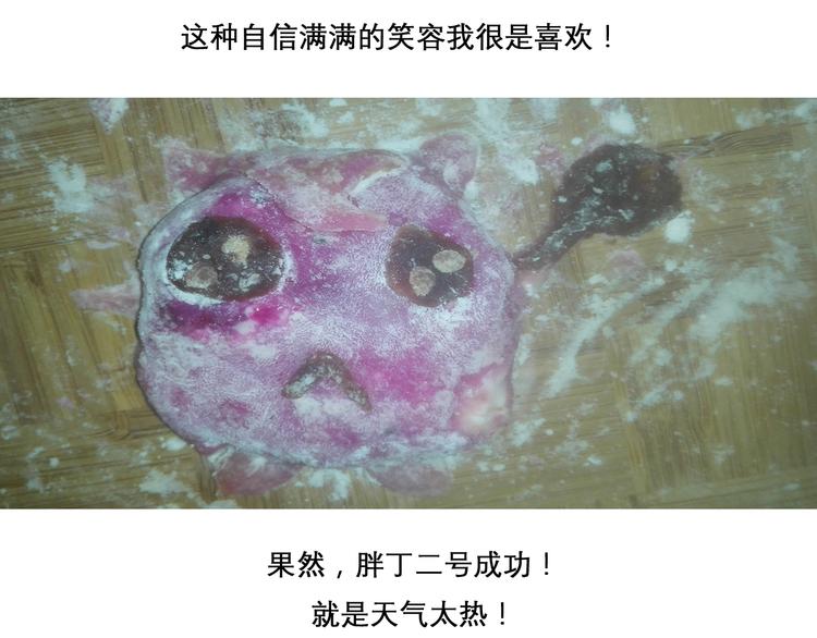 神奇宝贝雪媚娘-第57话