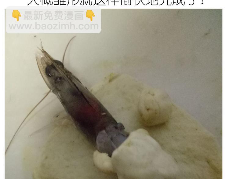 盗版皮皮虾-第79话