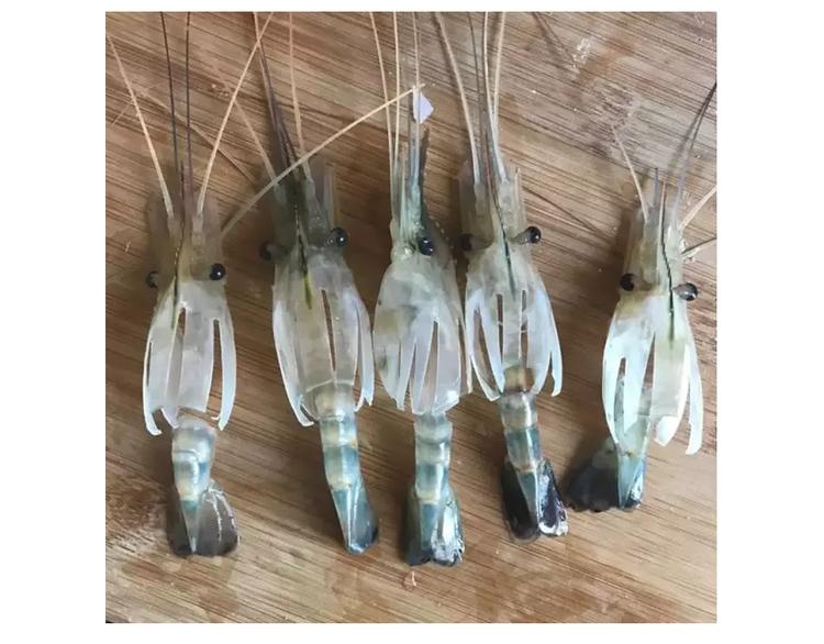 升龙饺子-第81话