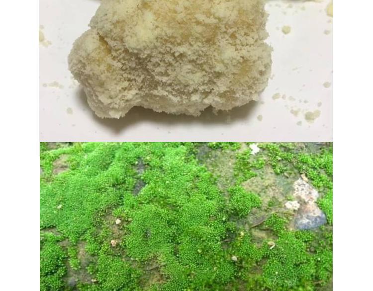 玻尿酸鸭子(1/2)-第93话