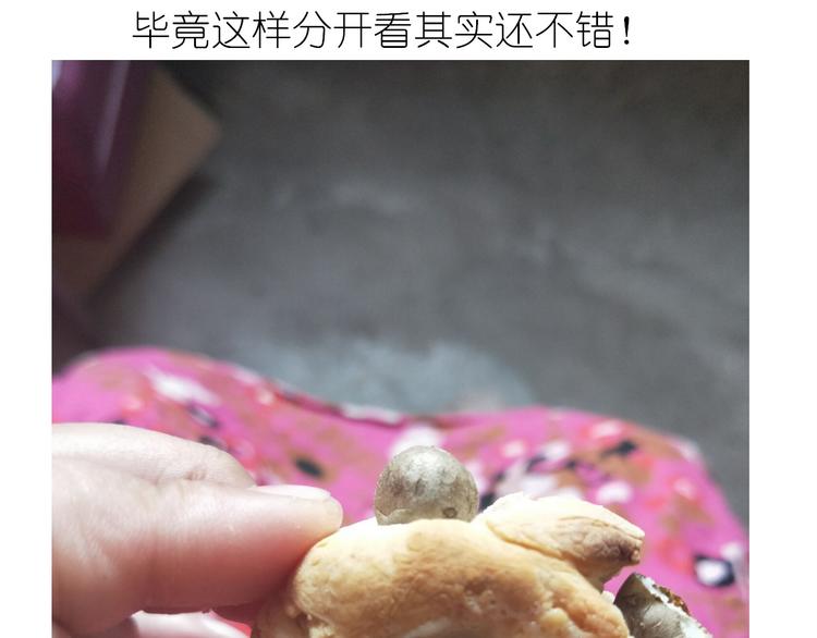 夹心面包-第95话