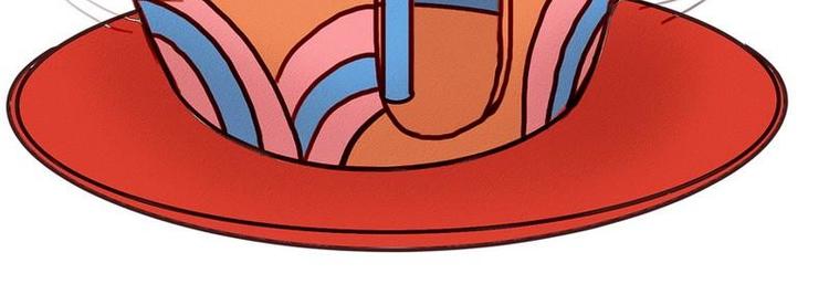 第25话 灰色森林(1/2)-第25话