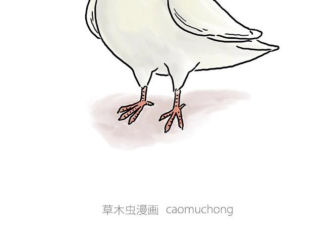 繪心一笑 - 師傅的茶道 - 6