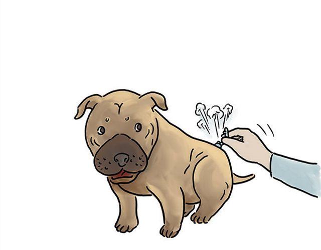 繪心一笑 - 幫師傅擋羞 - 6